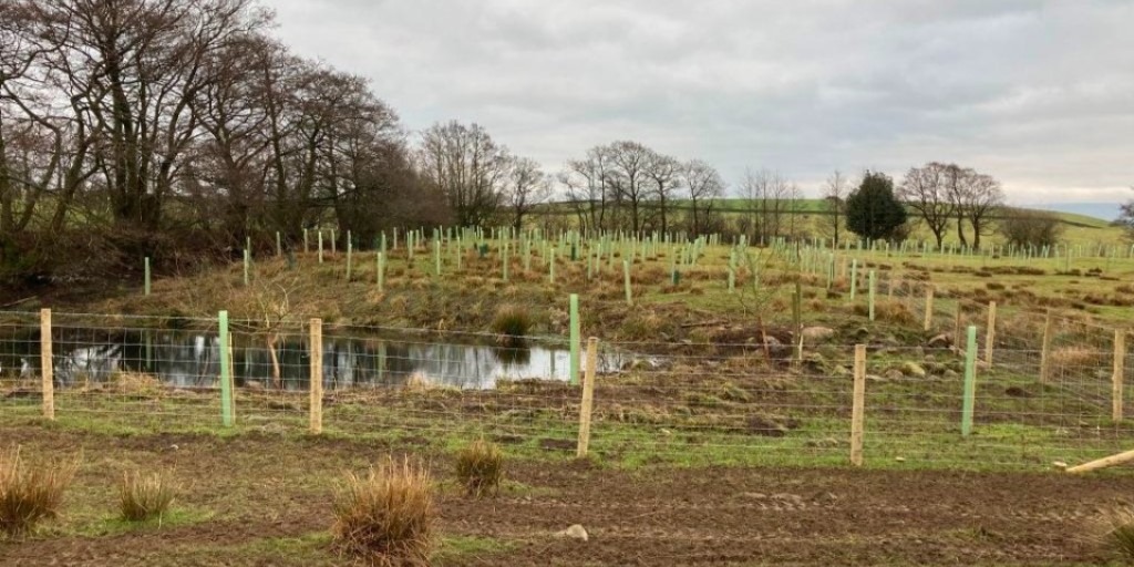 ForestryComm's tweet image. Ireby Green Farm in Lancashire used their England Woodland Creation Offer (EWCO) funding to invest in trees for a more sustainable future.
A year after planting, they're already seeing the benefits.
Read more: gov.uk/government/cas…