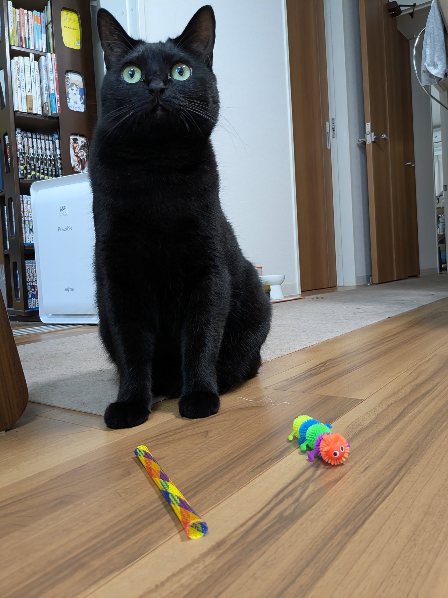 黒猫様 リクエスト まとめ買いページ ぺぺ太 on X: 