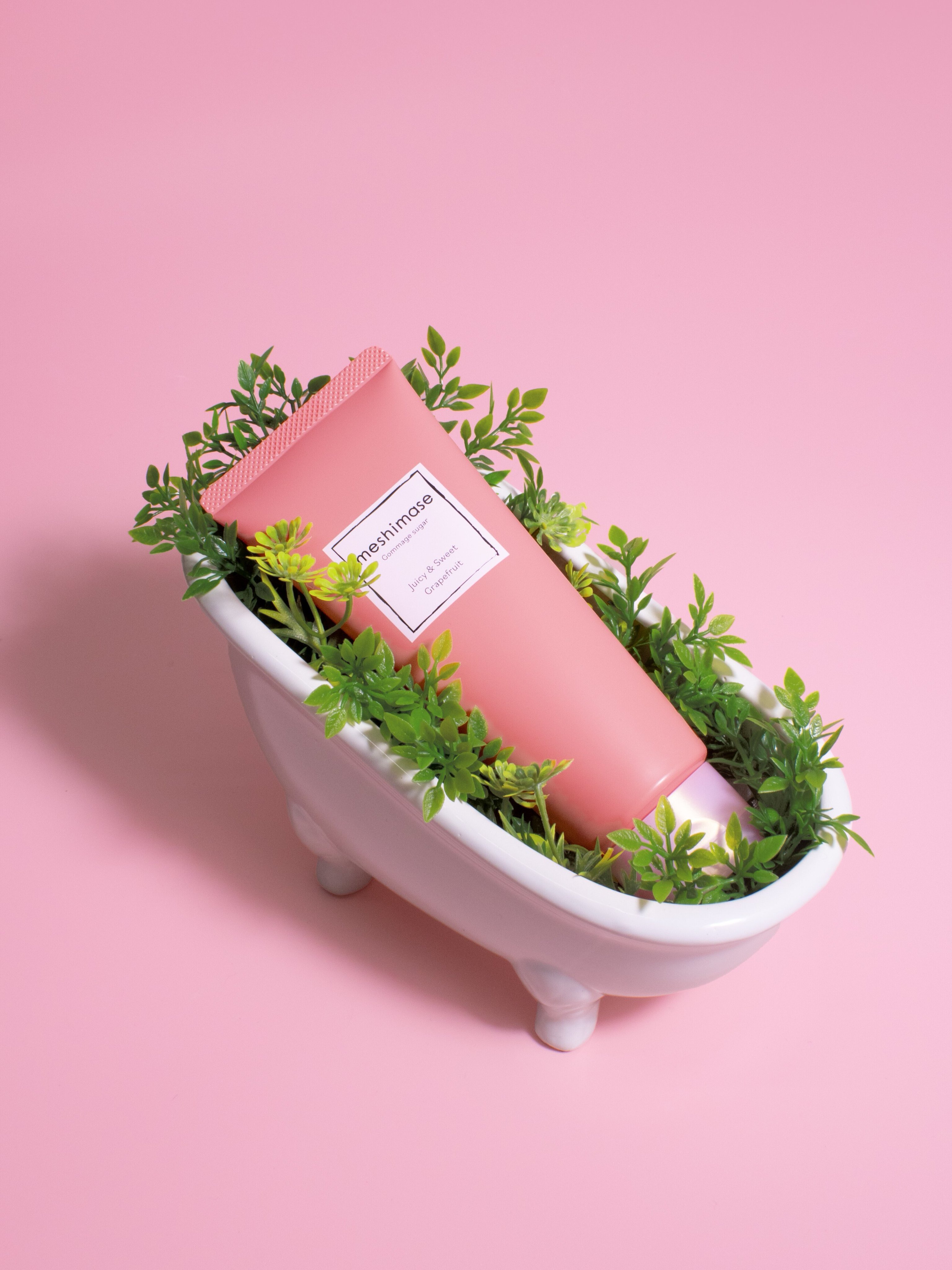 るぅと　ロゼット ロゼット (@ROSETTE_jp) / X