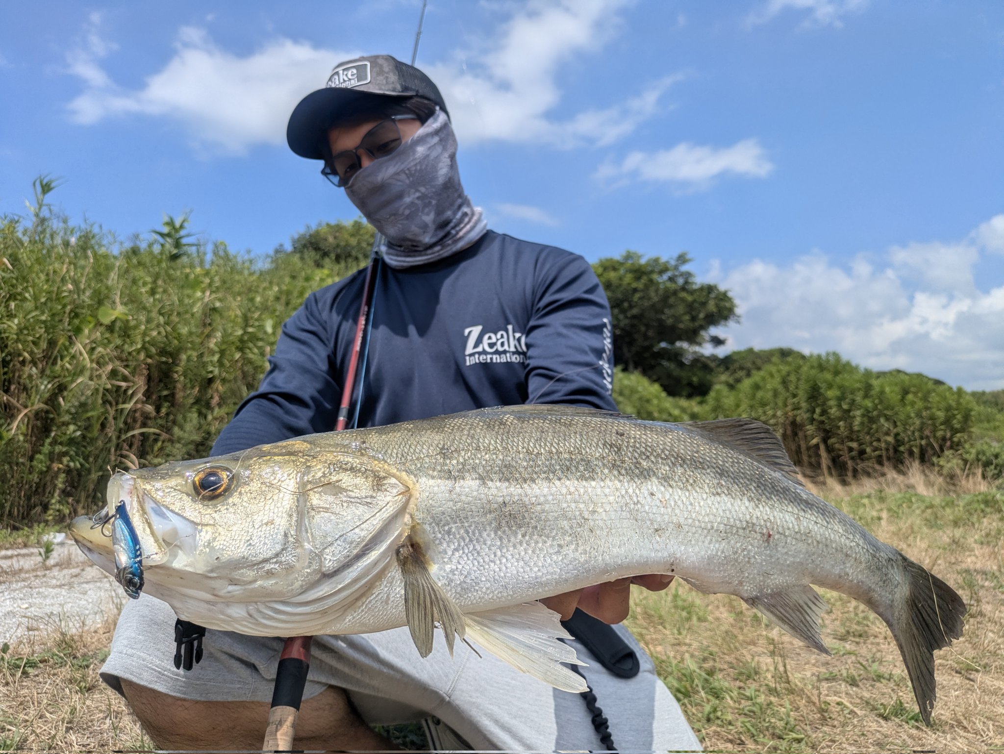 なおぴえん カワサキ ZX-6R 2013年式 ZX636Eの諸元・スペック情報 | ウェビック