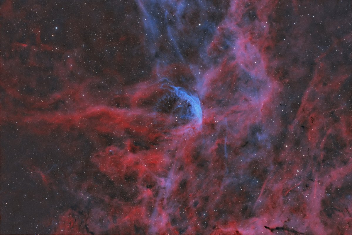 PlanetarioMad's tweet photo. WR 134: una estrella masiva ⭐ en sus últimos suspiros.
Sus vientos estelares esculpen una burbuja de gas en la constelación del Cisne
A solo 2° de Eta Cygni. 📌
Imagen: Daniel Puerta Sánchez 🔭📷
#WR134 #Astrofoto #Astronomía #WolfRayet #AstrofotoPlanetariodeMadrid https://t.co/xShr7rLNN8