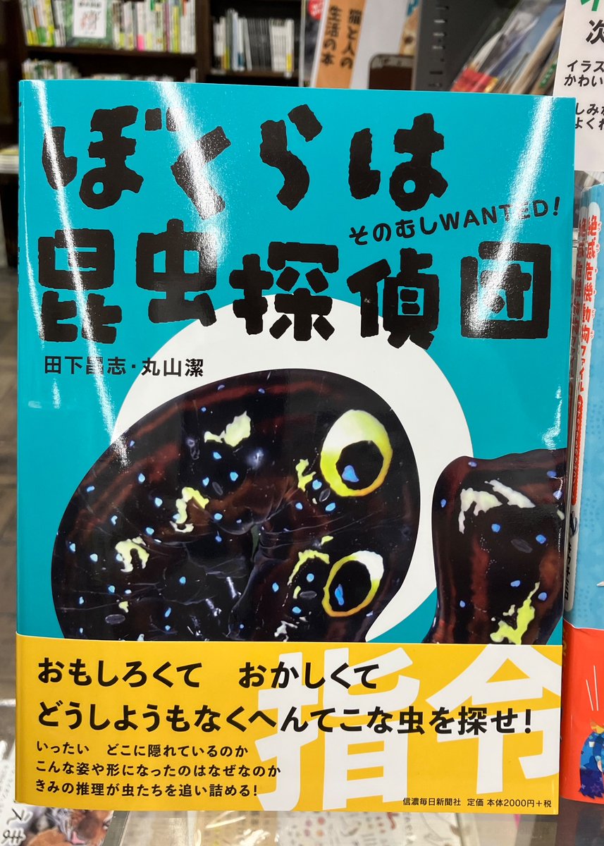 信毎年鑑 平成12年版 信濃毎日新聞社出版局 残りわずか | 信