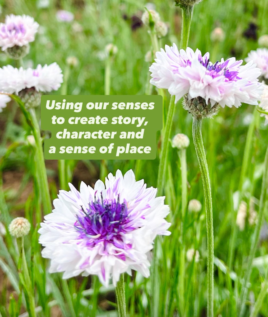 wurdsmyth's tweet image. Imagine a day of writing and inspiration in a magical house surrounded by countryside…
Join me for my #WriteFoxy Writing Day at The Timber House on Saturday 20th September!
Places are very limited so book early and get £5 off the ticket price!
eventbrite.co.uk/e/writefoxy-at…