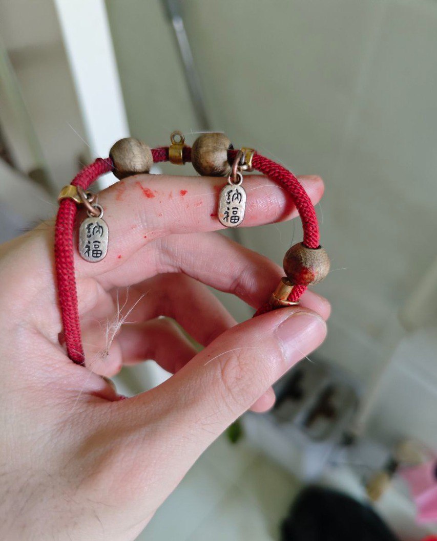 Topuzzo & Co. (@topuzzoc) on Twitter photo The crimin@l shows the poor animal's lucky collar with his hands stained with the blooD of the cat he just kill&d. It's probably an adopted cat. Your mother and grandmother will be very proud to have given birth to you 🇨🇳 #china #ChinaTravel #Cat #chinesecat #telegram <a href="/SCMPNews/">South China Morning Post</a> The crimin@l shows the poor animal's lucky collar with his hands stained with the blooD of the cat he just kill&d. It's probably an adopted cat. Your mother and grandmother will be very proud to have given birth to you 🇨🇳 #china #ChinaTravel #Cat #chinesecat #telegram <a href="/SCMPNews/">South China Morning Post</a>