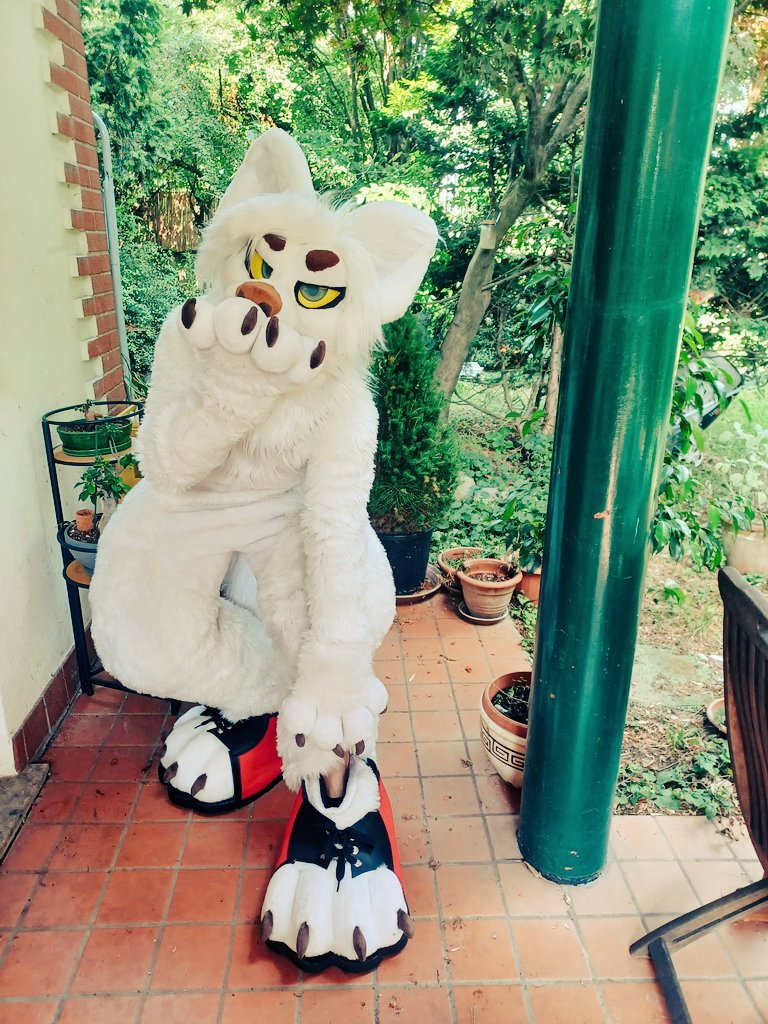 Mature content!
NO normies allowed👤🚫

#fursuit #furryfandom