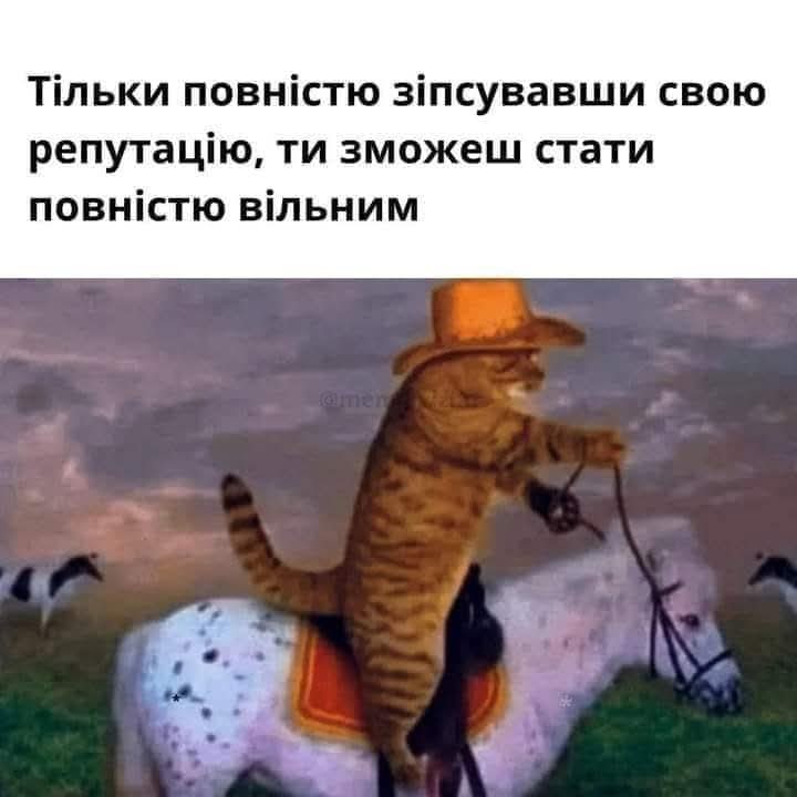 Пороблено (@cgtr) on Twitter photo 