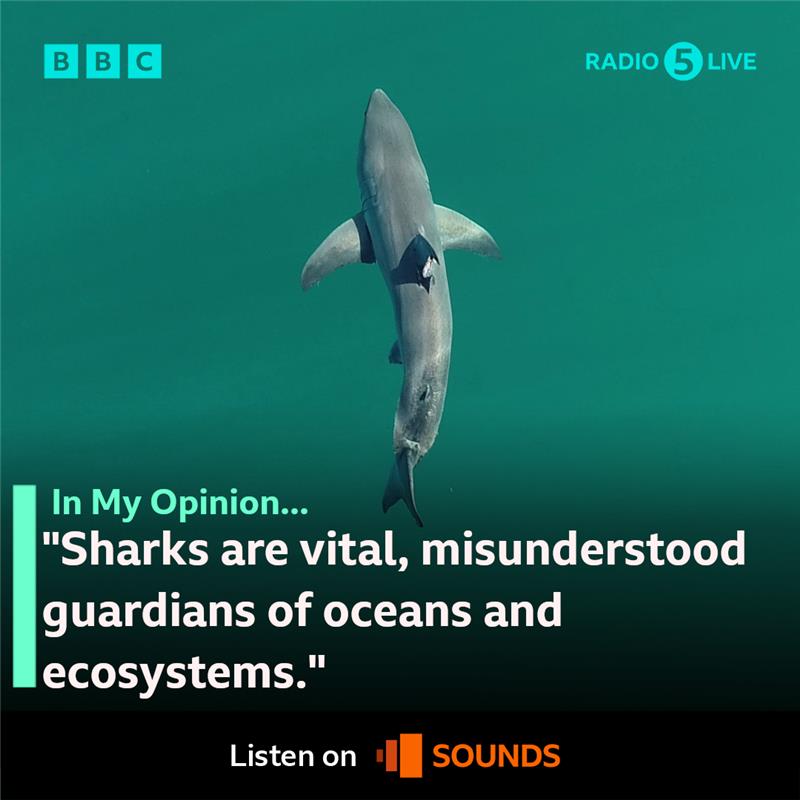 bbc5live's tweet image. In My Opinion: ‘Sensationalising shark encounters as dangerous or terrifying only reinforces outdated and harmful stereotypes.’
Brendon Sing has been diving with sharks for 25 years and says shark experiences should be 'respectful and educational'.
ITV's new show SHARK!…
