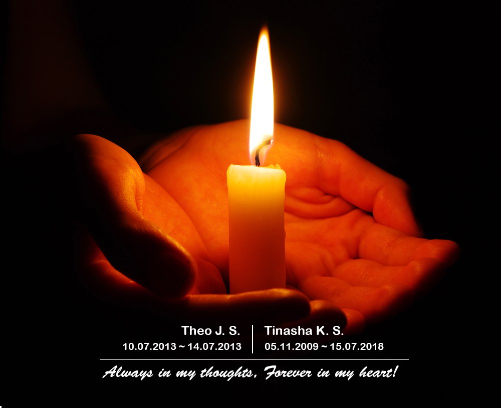 Sande, John J., tweet media