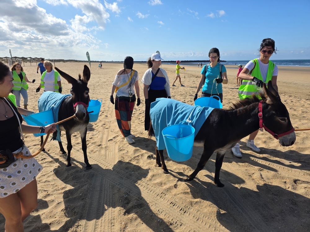 Playas limpias: Hosteleros y un equipo de burritas, héroes ambientales en Huelva 21noticias.com/2025/07/15/pla… 
<a href="/A_BurritoFeliz/">Asociación El Burrito Feliz</a>