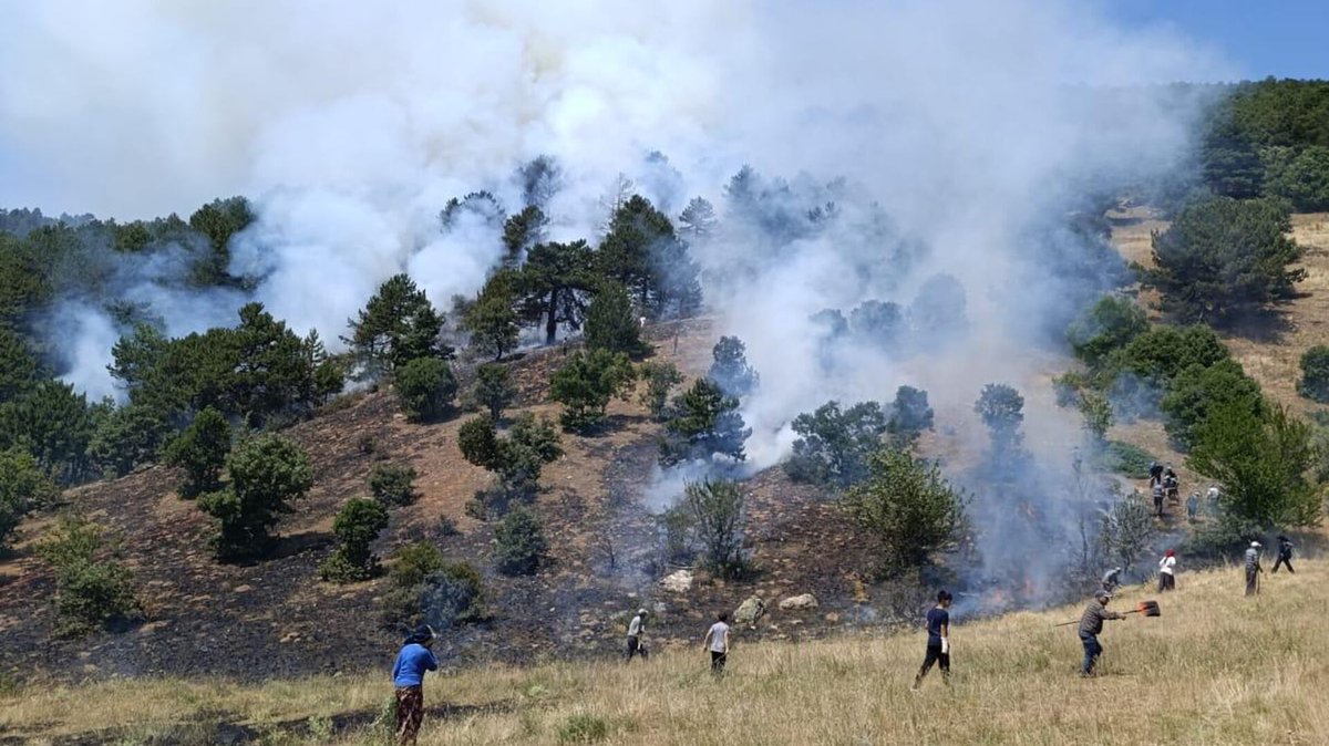 Konya'nın Doğanhisar ilçesinde dün çıkan ve devam eden orman yangını, Şakikarağaç sınırındaki ormanlık alana yaklaştı.