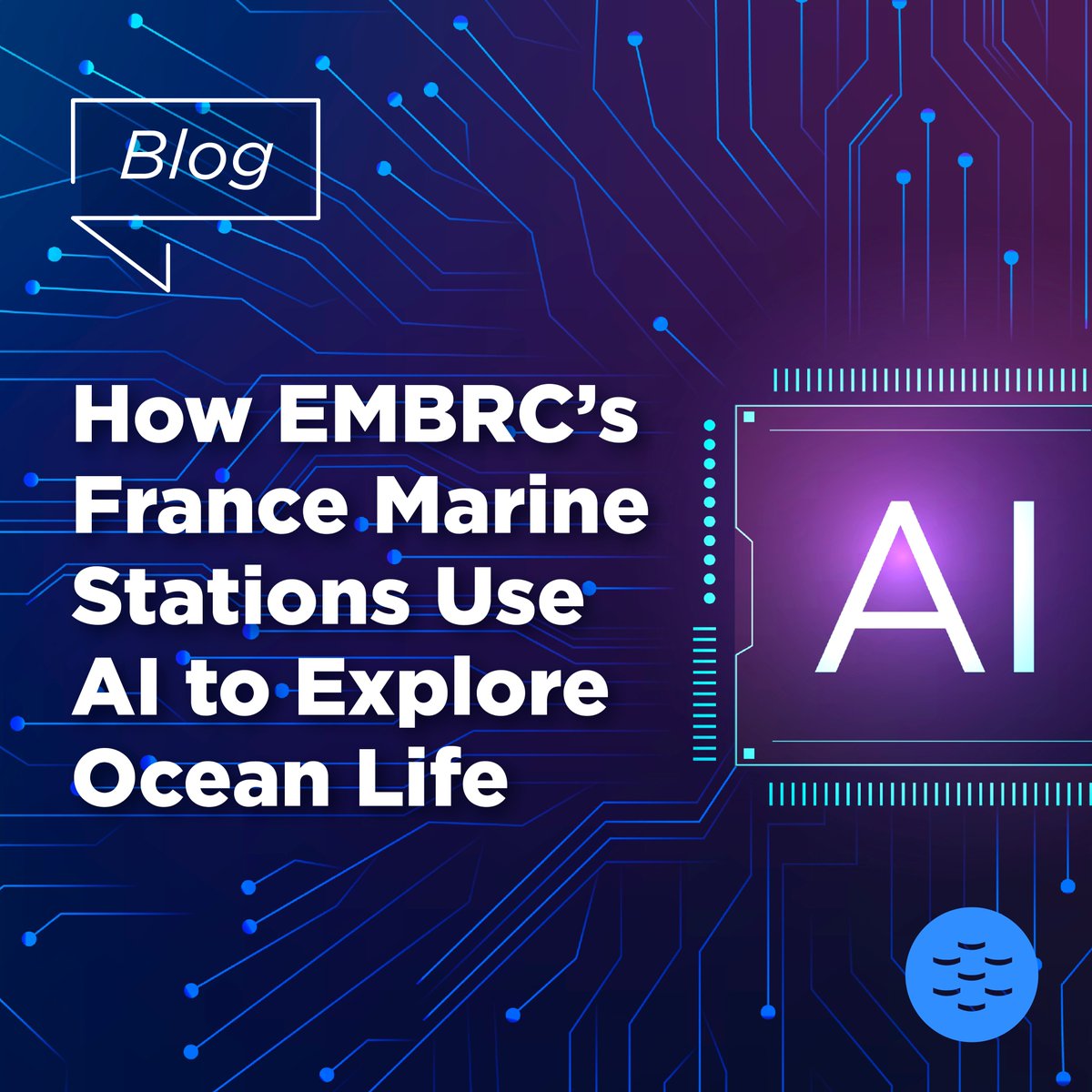 EMBRC_EU's tweet image. #EMBRCBlog | 👉 How can #AI, sensors, imaging & #genomics give us a better understanding of #MarineBiodiversity?
Discover @embrcfrance’s #AugmentedObservatories, a project involving 3 EMBRC marine stations: @IMEV_mer , @banyulssurmer & @SBRoscoff
🔗 tinyurl.com/mrxvcret