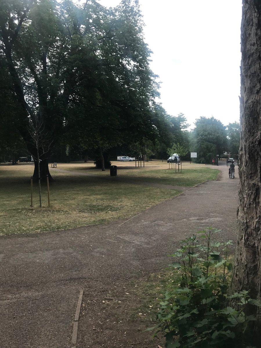 Peter russell tweet media