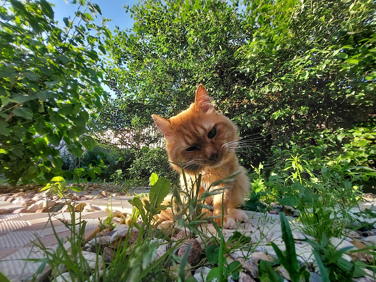 ECTET's tweet image. За окном раскатывает! Снова #рандомизгалереи дачный :)