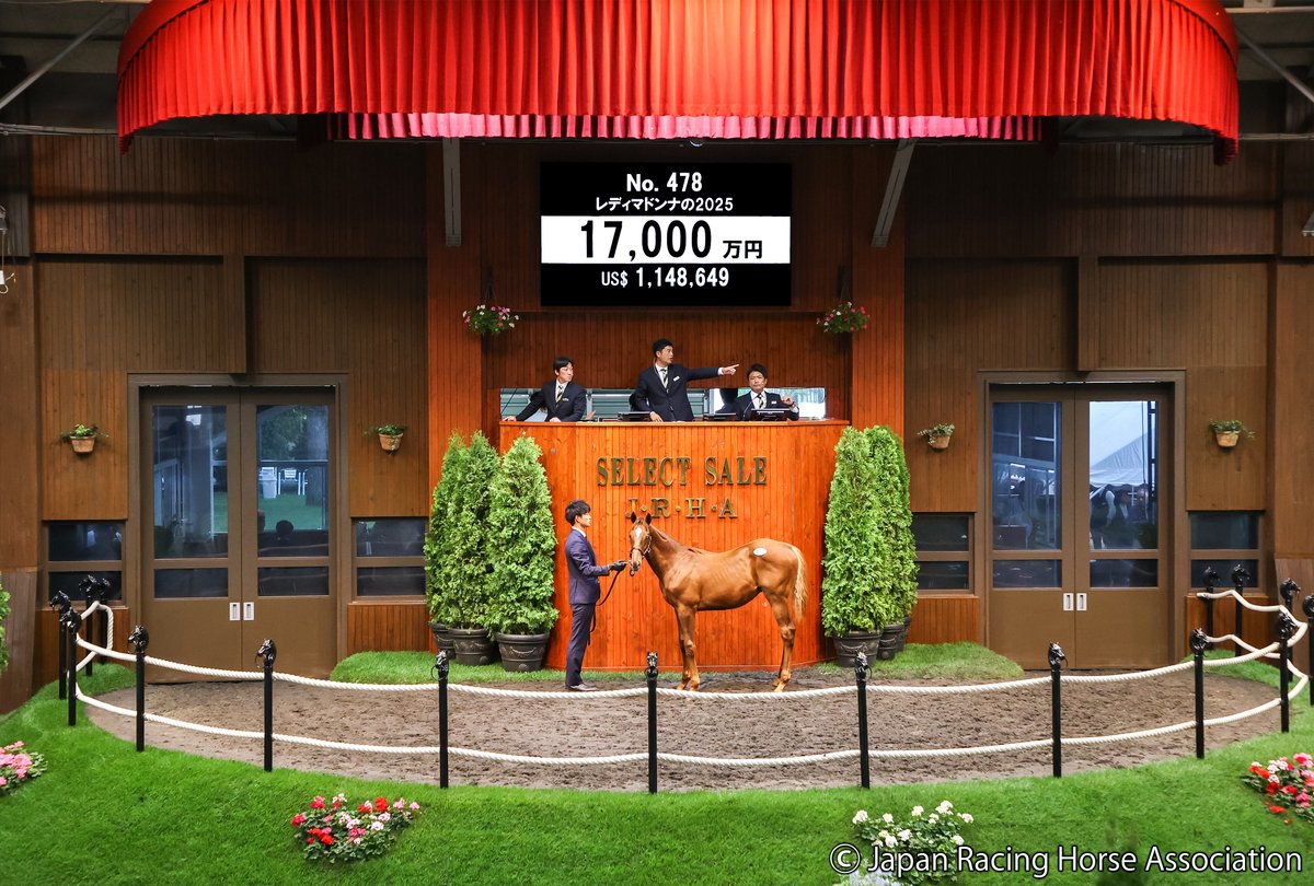 JRHA-SELECT SALE tweet media