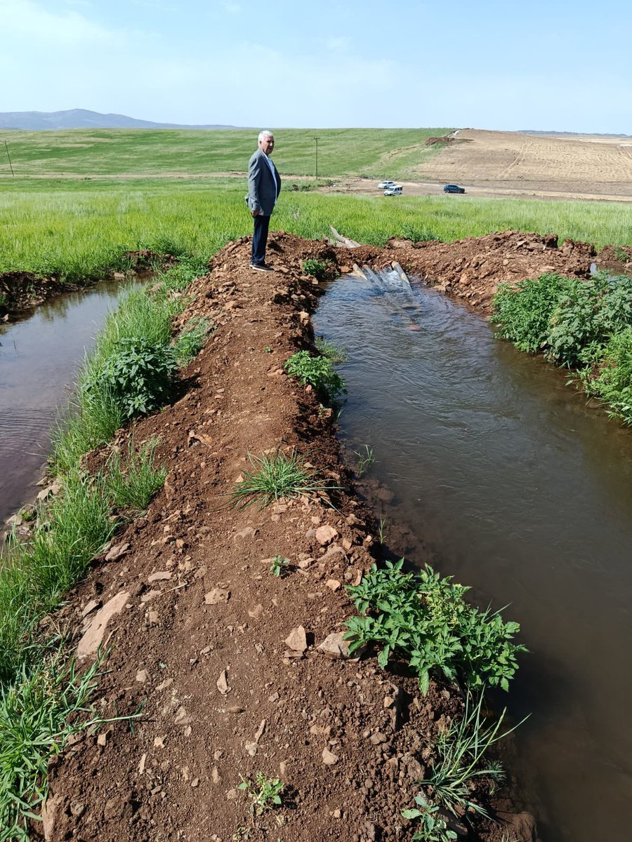 Sabahın bereketine Çeltik tarlamızda yapmış olduğumuz incelemeler ile başladık. 

Emek ve alın teri ile topraklarını yeşerten tüm çiftçilerimize hayırlı ve bereketli günler dilerim.