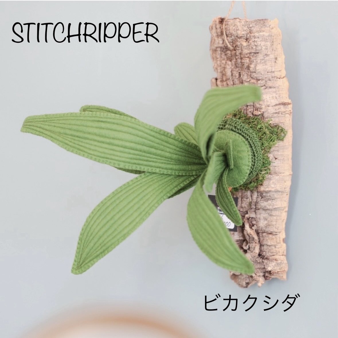 StitchripperD's tweet image. 🌵ビカクシダを作っている最中です
まずはブランケットステッチでひたすら縫い合わせます
《手づくりグッズ&メーカーグッズ 文遊館の昆虫と植物展》 @bunyuukan
7/19日(土)~8/31(日)
STITCHRIPPERは8/1(金)〜
株式会社文遊館内ギャラリースペース
香川県東かがわ市湊685-1