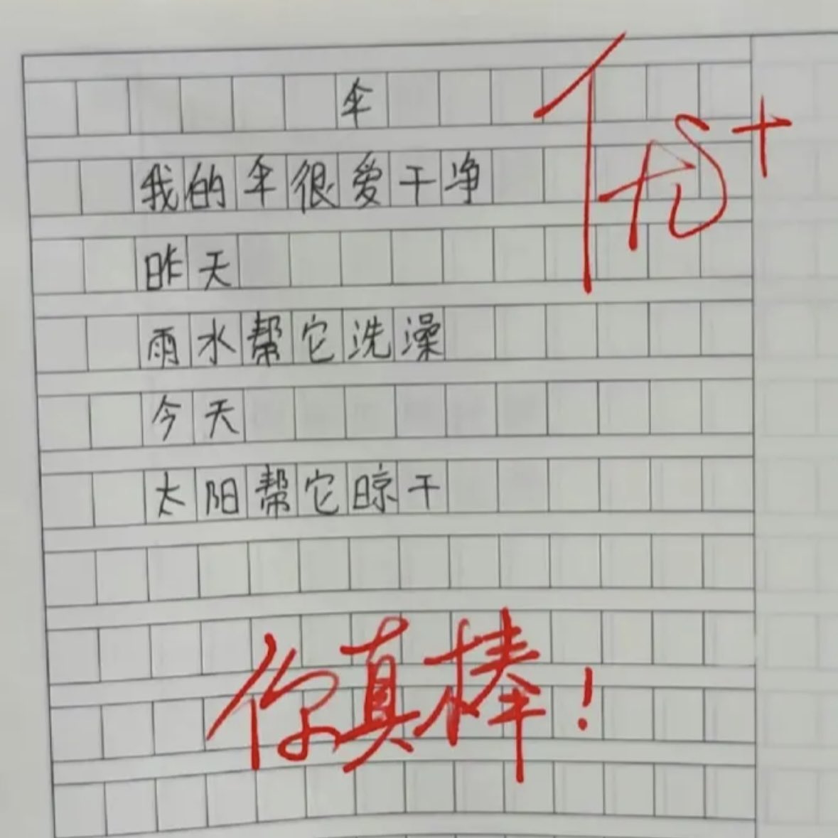 我发现
老鼠偷东西
只是人类的说法
在它们那里
这叫觅食