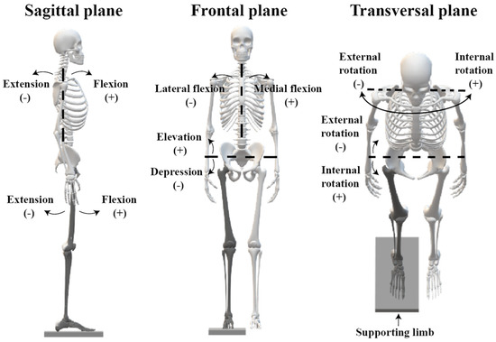 Applied Sciences MDPI (@applsci) on Twitter photo 🔥 Read our Paper
📚 Is Running Technique Important to Mitigate Hamstring Injuries in Football Players?
🔗 mdpi.com/2076-3417/14/2…
👨🔬 by Marco P. Silva,Pedro Fonseca,Ricardo J. Fernandes and Filipe Conceicâo.
<a href="/UPorto/">Universidade Porto</a>
#running #technique #hamstring #injury #football #prevention 🔥 Read our Paper
📚 Is Running Technique Important to Mitigate Hamstring Injuries in Football Players?
🔗 mdpi.com/2076-3417/14/2…
👨🔬 by Marco P. Silva,Pedro Fonseca,Ricardo J. Fernandes and Filipe Conceicâo.
<a href="/UPorto/">Universidade Porto</a>
#running #technique #hamstring #injury #football #prevention