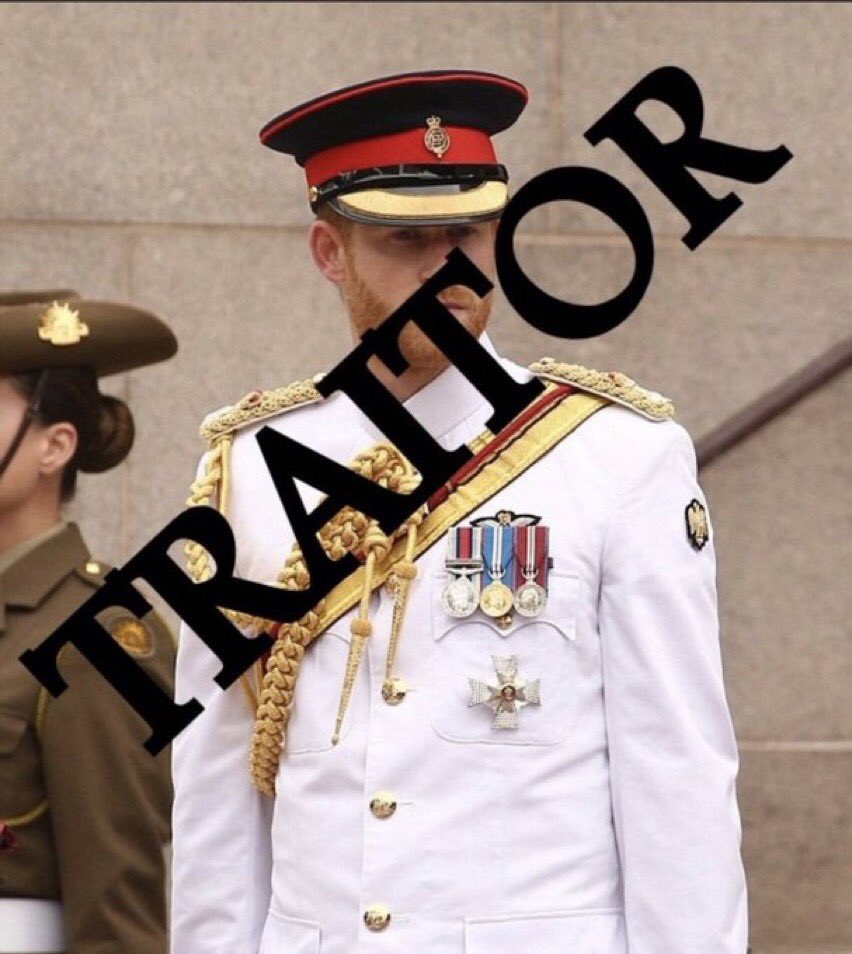 LazyDaisy1912's tweet photo. @duchess_salty He and his vile wife will get booed mercilessly we all consider him a traitor, are they going you prove his wife gave birth to the invisible children? Remove their titles and send them to africa, they aren't wanted, needed or welcome back here!!! #GingeAndWhinge #FOHarry https://t.co/Io550bHWpX