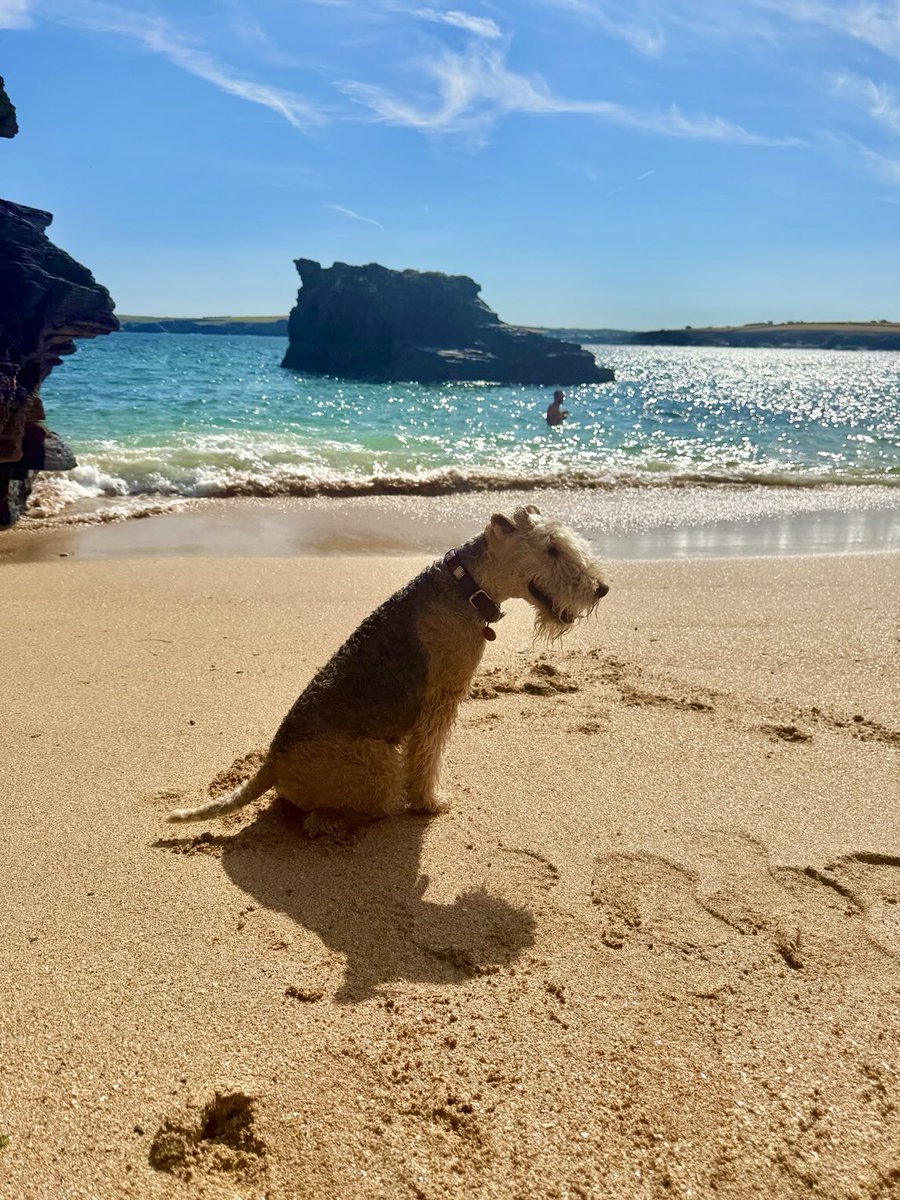 Beach days are the best days …….. one can dream ❤️❤️