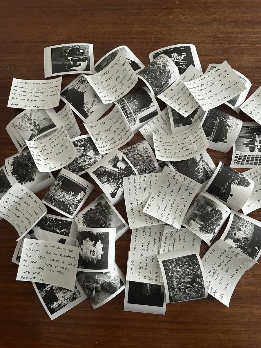 FELIVAND tweet media