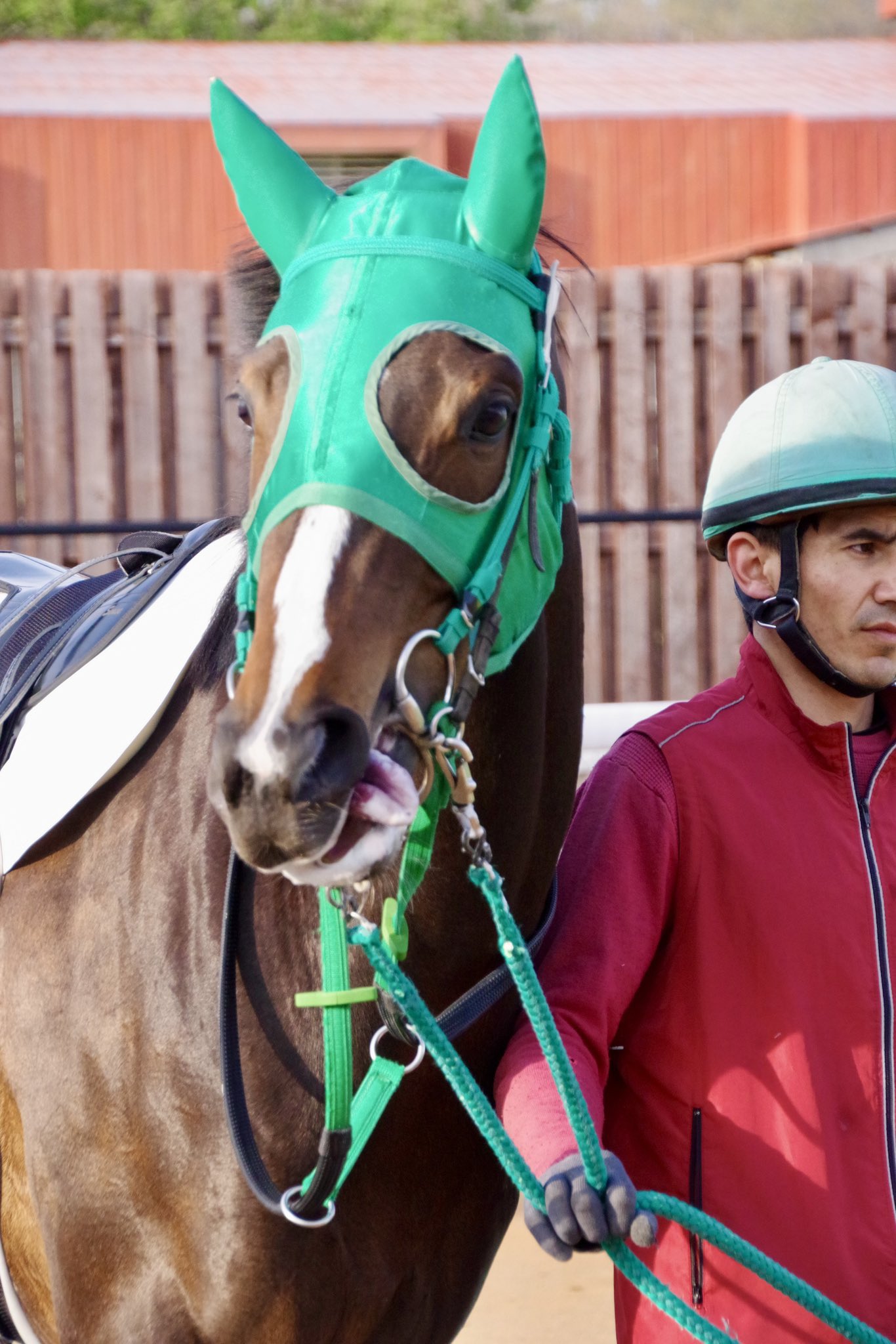 厩舎へ帰ろう 1~7巻＋書斎の競馬1〜4巻　11冊セット BR123-Cover-340x517.jpg