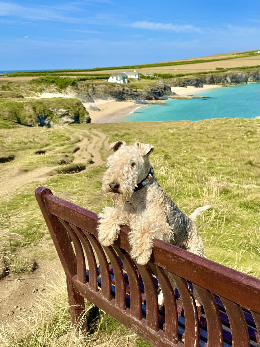 We have some beautiful beaches in the UK this is one of my favourites Mother Ivey’s Bay ….. go find it one day you won’t be disappointed ❤️