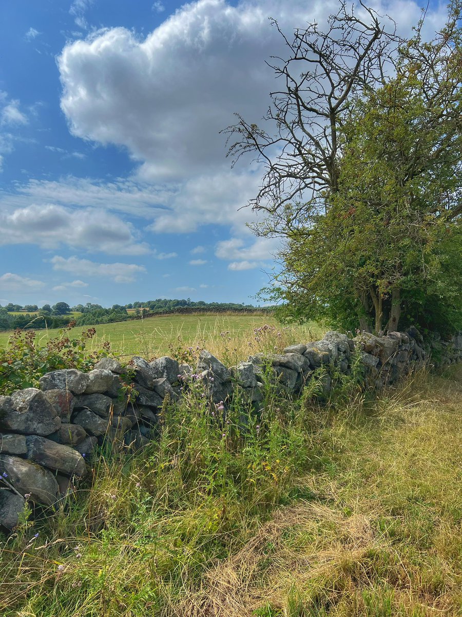 KateSLWood's tweet image. Good morning ~ this is where rural Staffordshire meets rural Derbyshire. Just when you think you’ve seen all the beauty the UK has to offer, you stumble across another slice of heaven 🩵💚🩵