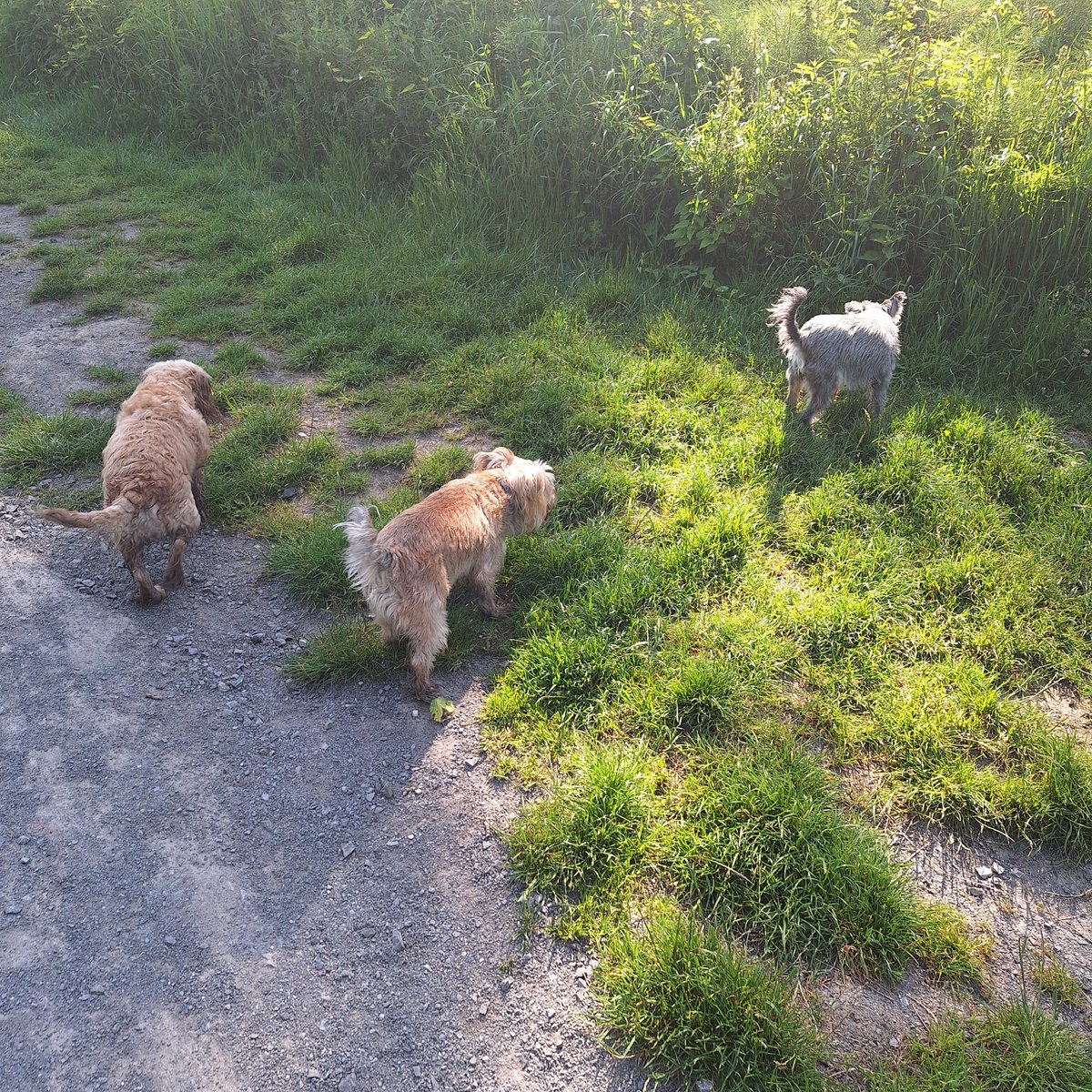 Alice Hortop tweet media