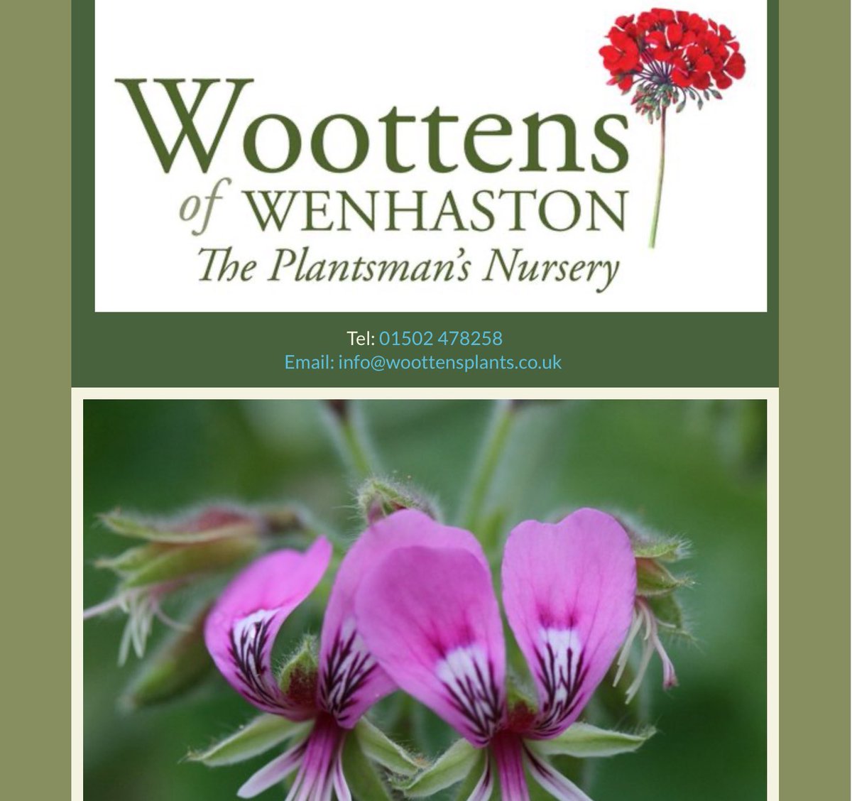 rosesukroses's tweet image. We’re here to enthuse about #roses but giving over our little #rosy space to share this news. The challenges specialist rose & plant nurseries face are mounting, if they are to survive they need our custom & support. They are the lifeblood of British 🇬🇧 horticulture.
#GardeningX