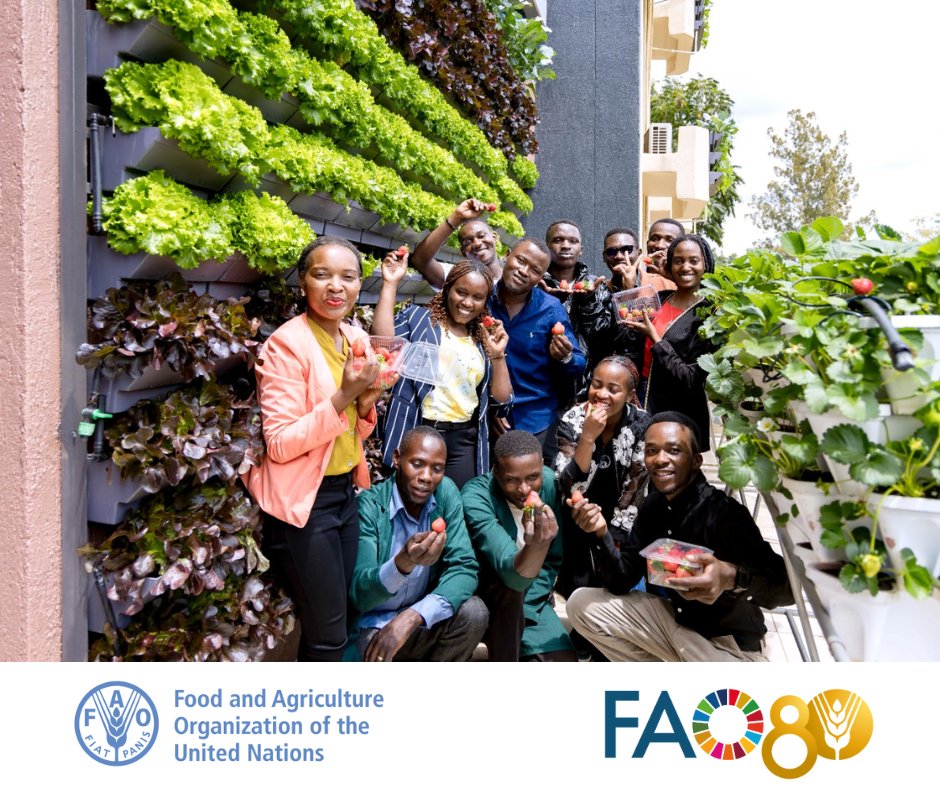 🌍 Youth are the changemakers of today and tomorrow!

👍With the right skills, tools, and opportunities, they can transform #AgrifoodSystems and power rural progress.

🤝Let’s invest in their potential!

#YouthSkillsDay
#SkillsRightNow