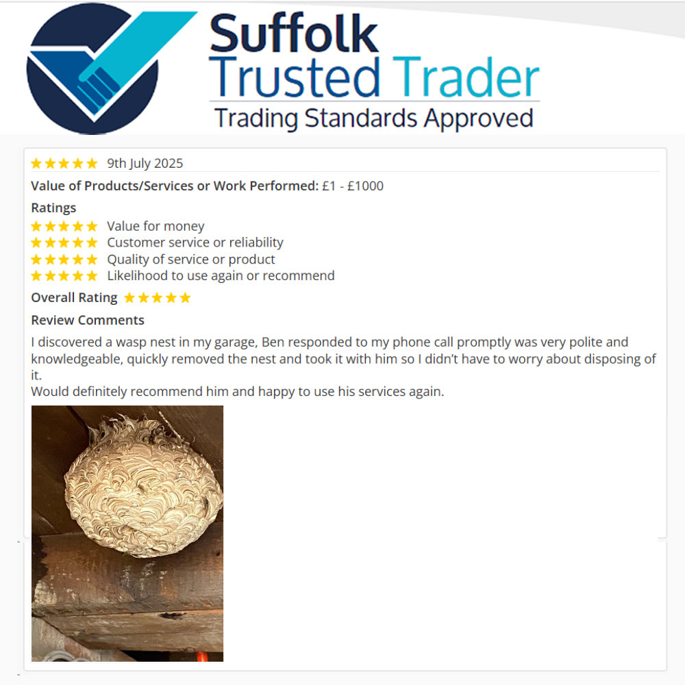 VettedTraders's tweet image. Another happy customer for Suffolk Trusted Trader Control Solutions Pest Control Ltd, and a wasps nest safely removed 😲
trustedtrader.team/Suffolk/Contro…
#Suffolk #TrustedTrader #TradingStandards #Approved