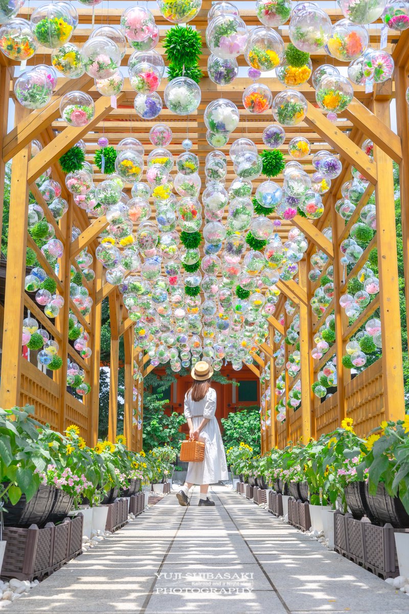 夏の訪れを告げるクリアボール回廊