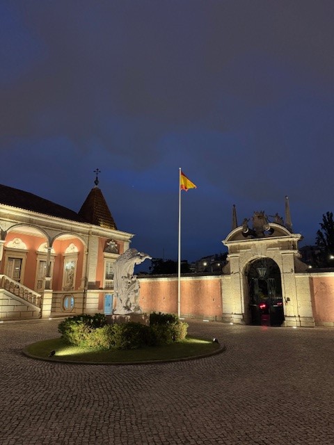 Proyecto de iluminación artística de Endesa del Palácio de Palhavã, Residencia oficial del Embajador de España en Portugal 
exteriores.gob.es/Embajadas/lisb…