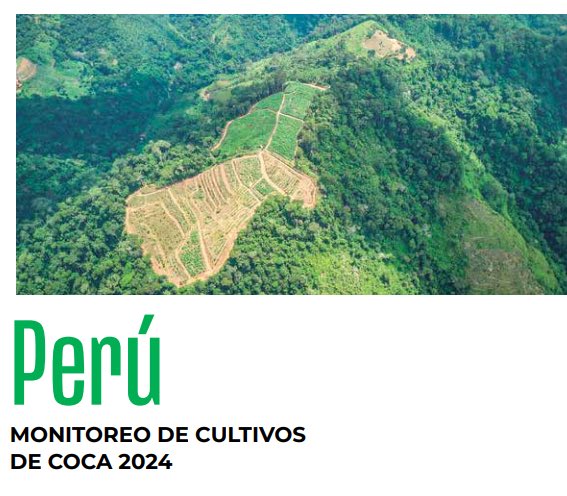 GhadaFathiWaly's tweet image. Encouraging news in Peru: government survey shows coca cultivation down for 2nd year in a row.
This was achieved with @UNODC technical assistance, alternative development work & local support.
Grateful for the partnership between @DEVIDAPERU, UNODC & EU: cdn.www.gob.pe/uploads/docume…