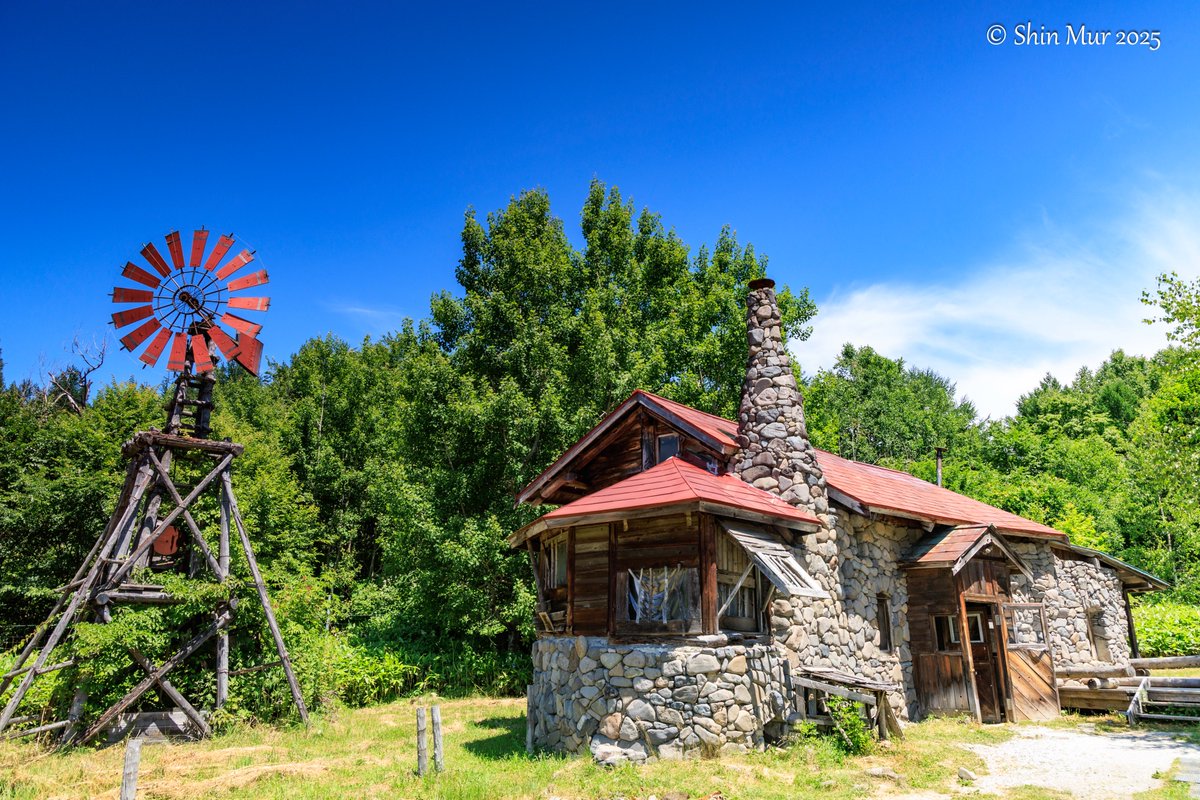 Shin (@0001Shin1) / Posts / X