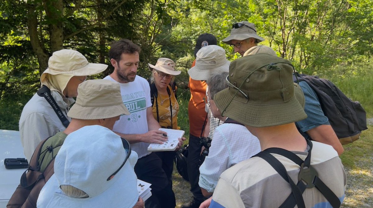Greenwings's tweet image. Today we start our butterfly tour in Türkiye, under the expert leadership of tour veteran & popular Greenwings guide Ben Greenaway. Here's a glimpse of the wonderful butterflies that await them!
A donation from this & all our worldwide butterfly tours goes to @europebutterfly
