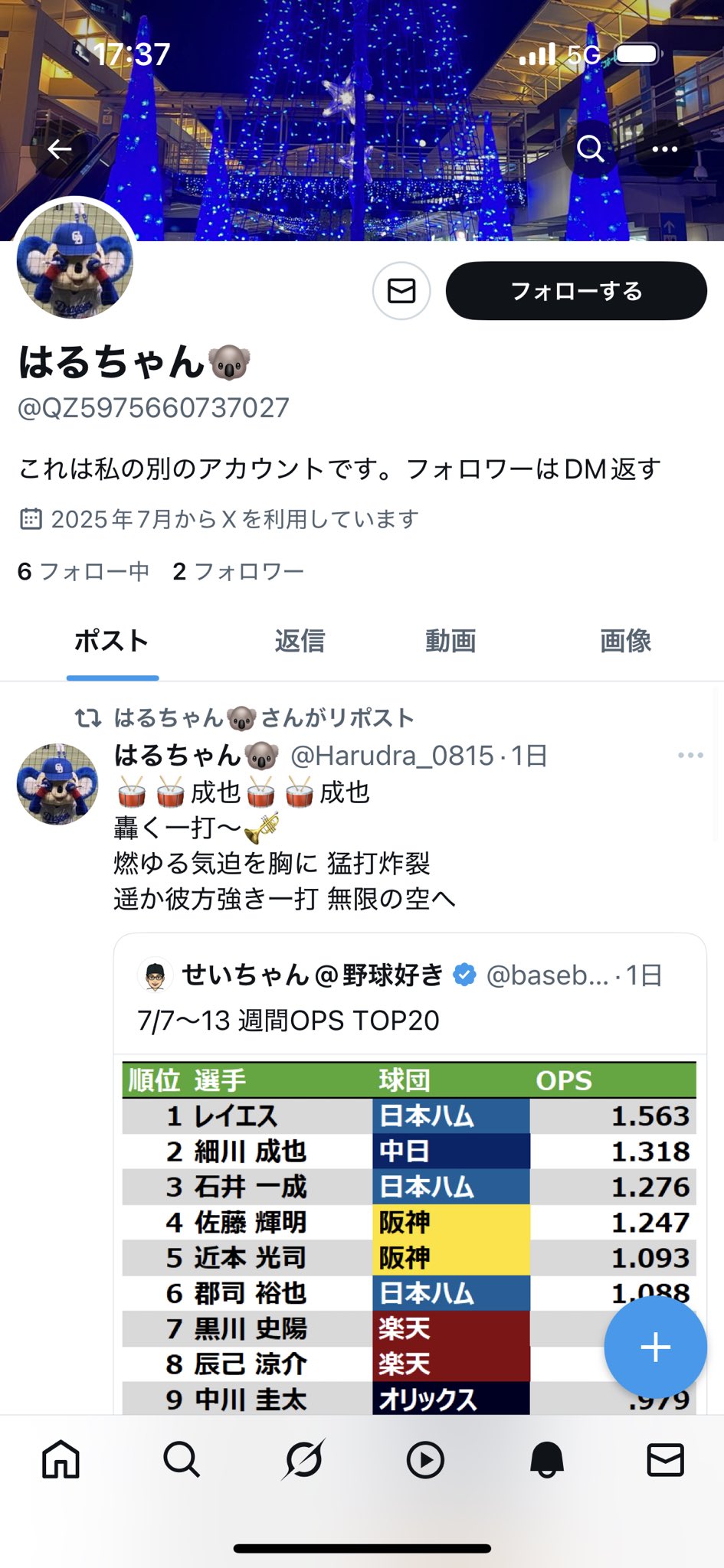 はるちゃん🐨 on X: 