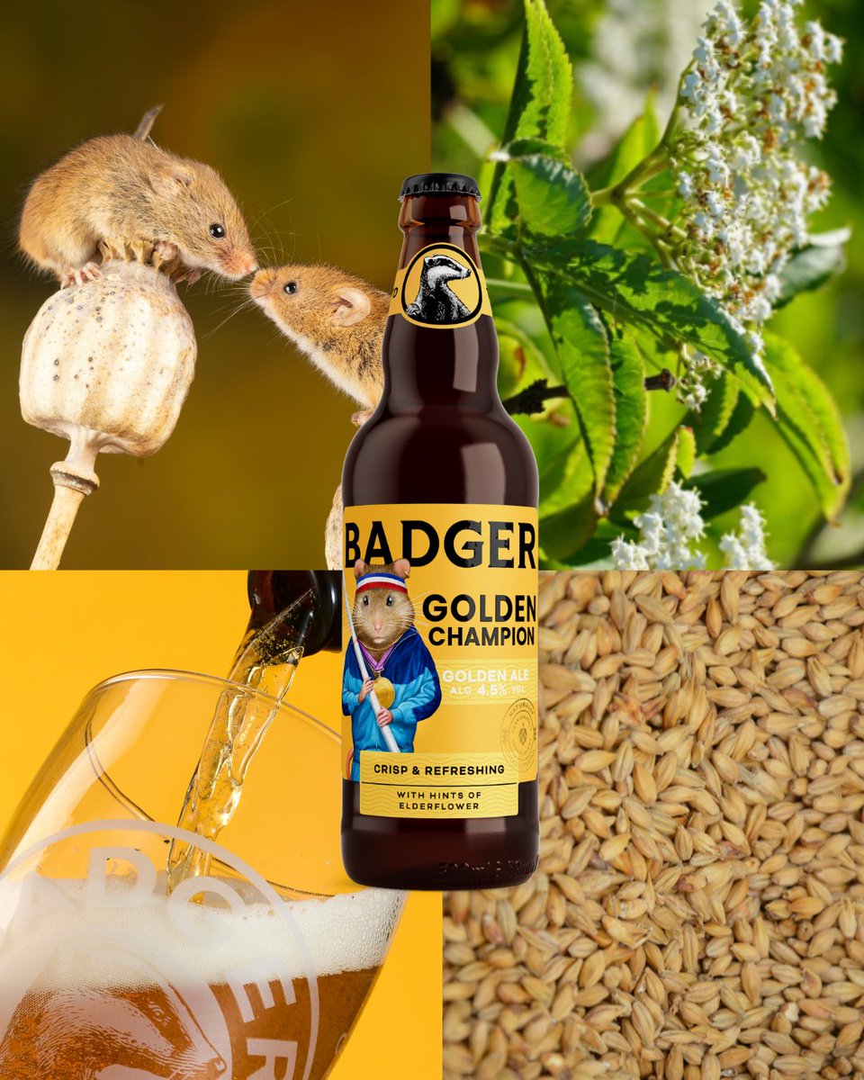 Badgerales's tweet photo. Every Badger beer tells a story… and every story has a mood. 🍺 We’ve crafted moodboards to capture the spirit of each brew, from bold and adventurous to smooth and mellow. Which one matches your mood today? #BadgerBeers https://t.co/oHnr0J5rGh