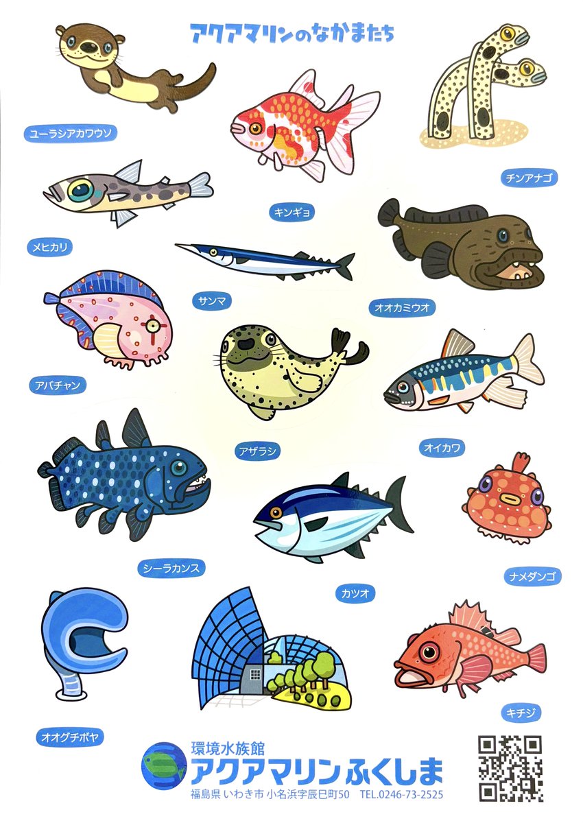 アクアマリンふくしまのノベルティシール、デザインさせていただきました。近々、移動水族館で配布される予定だそうです(^O^)　移動水族館、見に来てくださいね♪