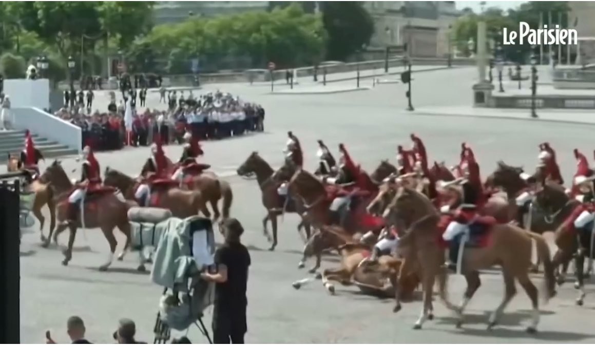corruption des esprits qui ne prend pas avec les animaux ?

Ce 14 juillet, Macron a convié la fine fleur de l’Indonésie et d’autres officiels dans la tribune présidentielle. Mais à quoi sert cet étalage ?

À subjuguer les invités :
•étalage de blindés, de Rafale, de cavalerie