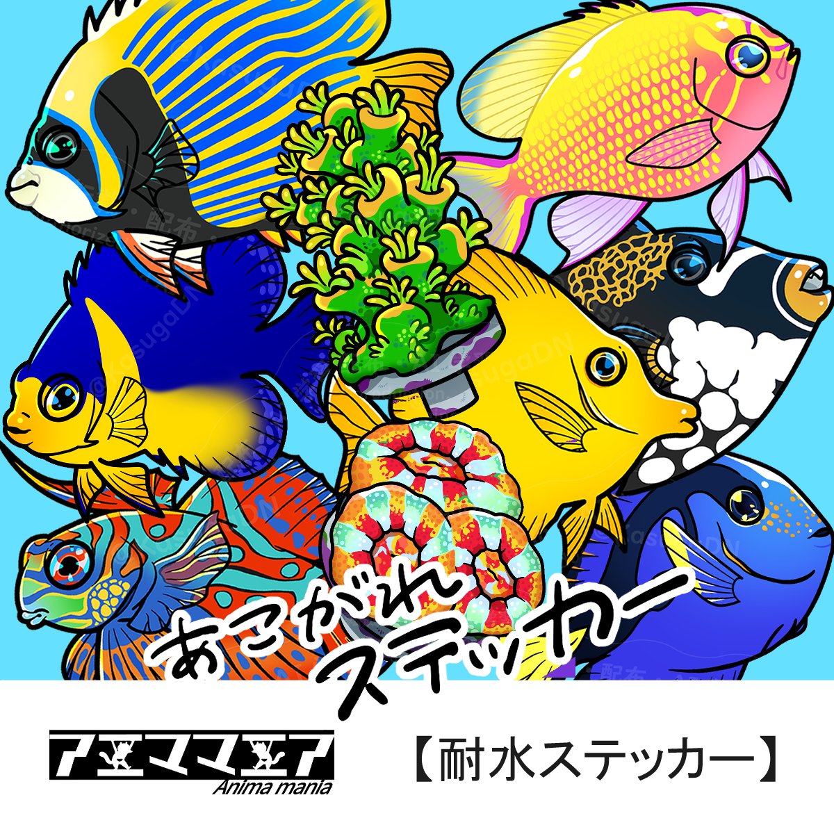 kasuga_dn's tweet image. 【★イベント参加情報★】
博物ふぇすてぃばる!11
7月20(日)21(祝月)東京ビッグサイト南1ホール
※7月20(日)のみ出店となります
海水魚とサンゴメインで出店します~!よろしくお願いいたします🙌
#博物ふぇす魚類部
#博物ふぇす