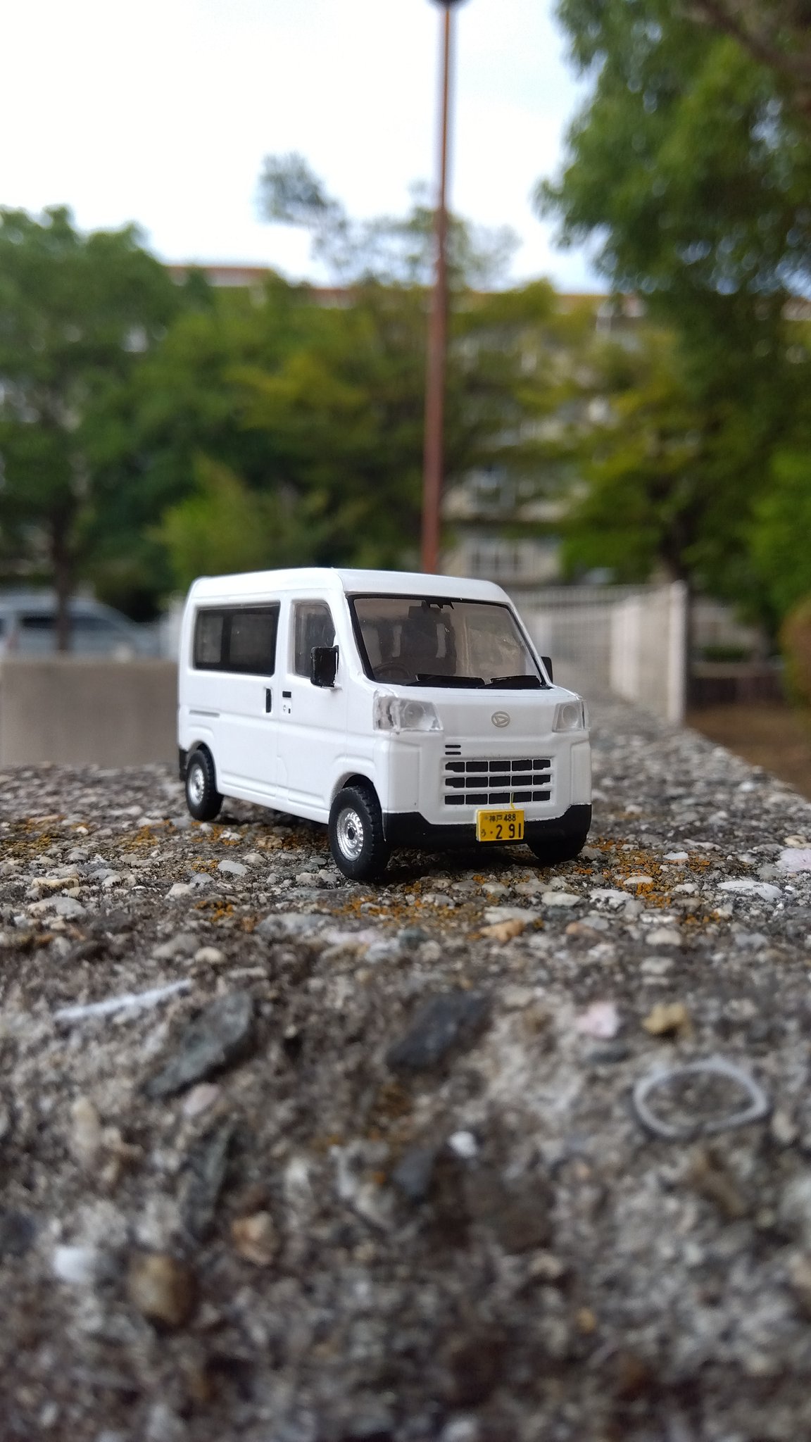 ﾊｲｾﾞｯﾄｶｰｺﾞ - البحث / X