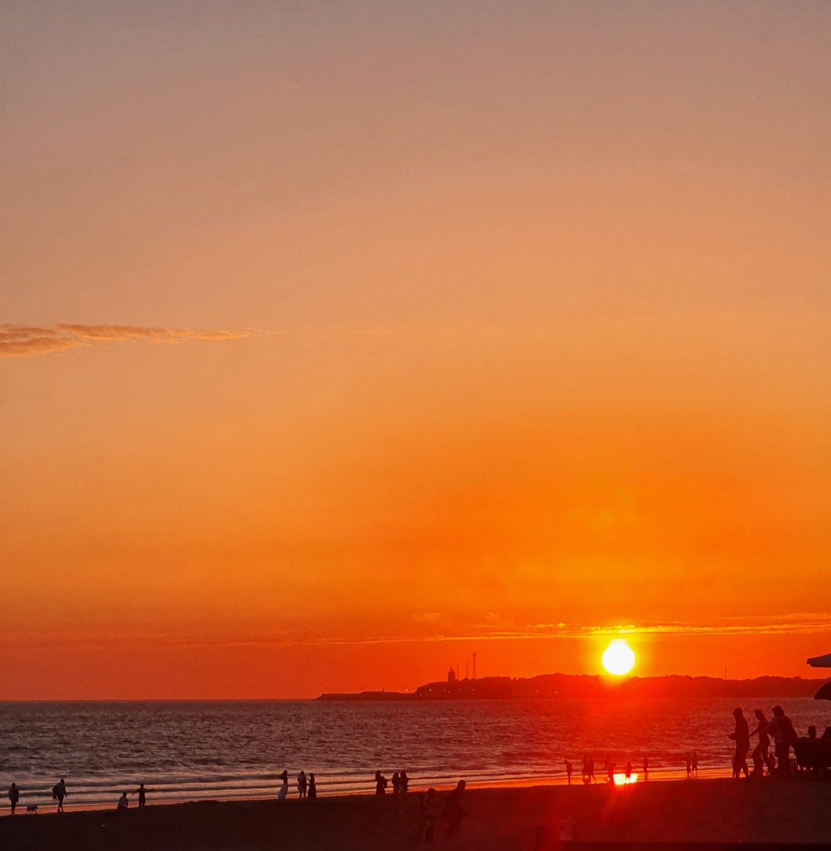 franmartin24's tweet image. Que espectacularres y maravillosos son los atardeceres en la playa de la Fontanilla (Conil de la Frontera).
Paz y serenidad 🧡💙