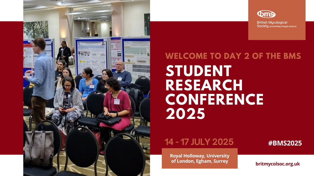 BritMycolSoc's tweet image. After last night’s social and networking, short talks by mycology PhD students plus a career pathway surgery at the Student Research Conference. #BMS2025