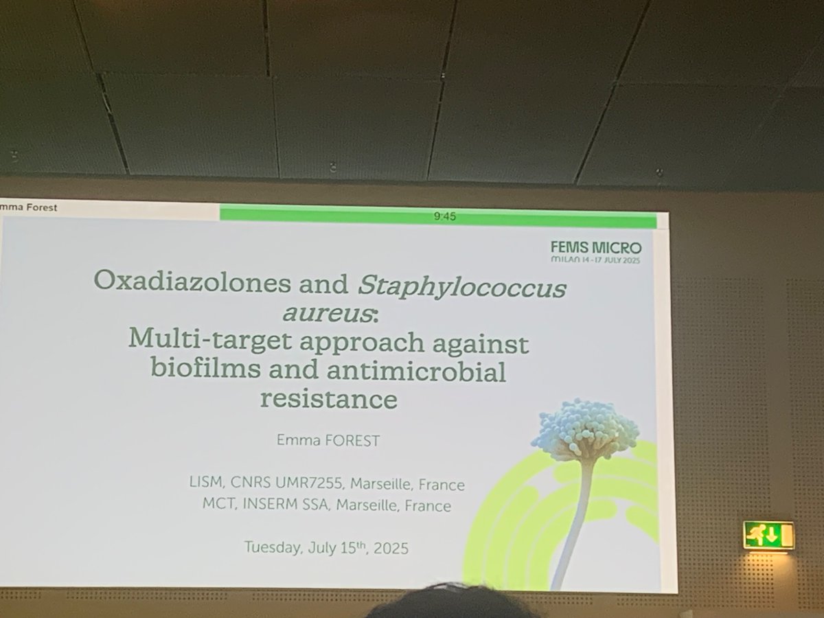 Great start to the day at #FEMS2025! Emma Forrest gave an excellent talk on S. aureus biofilms and oxadiazolones against resistant infections.  <a href="/FEMSmicro/">FEMS</a>
