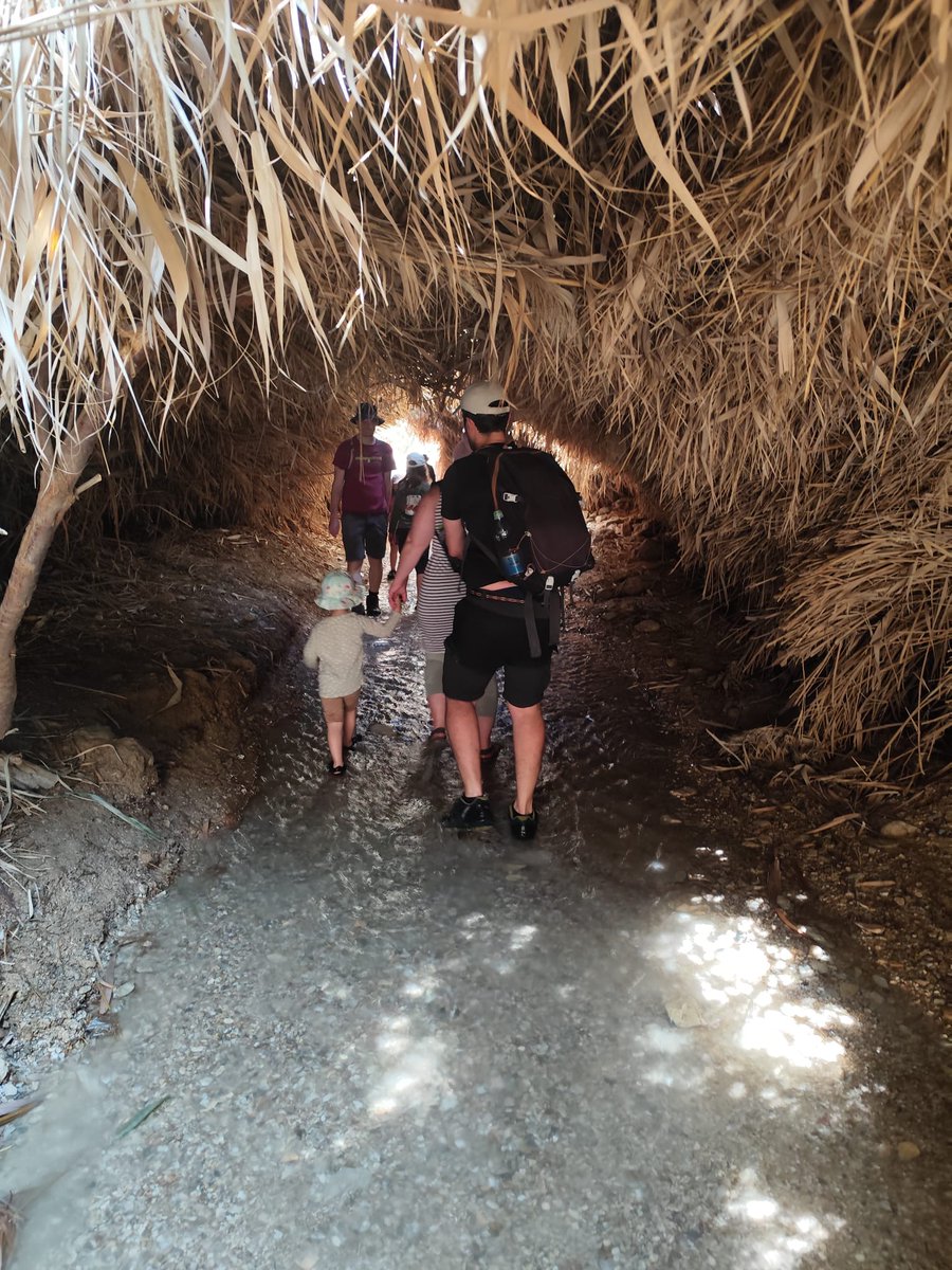UnplugIsrael's tweet image. 📍 EXPLORE.
Have you ever heard of the Nahal Bokek oasis by the Dead Sea? It’s right across from the Ein Bokek resort. Entrance is free—for now! From the start, you’ll walk through cool water in the shade, making it a great escape even on super hot days. The water starts off…