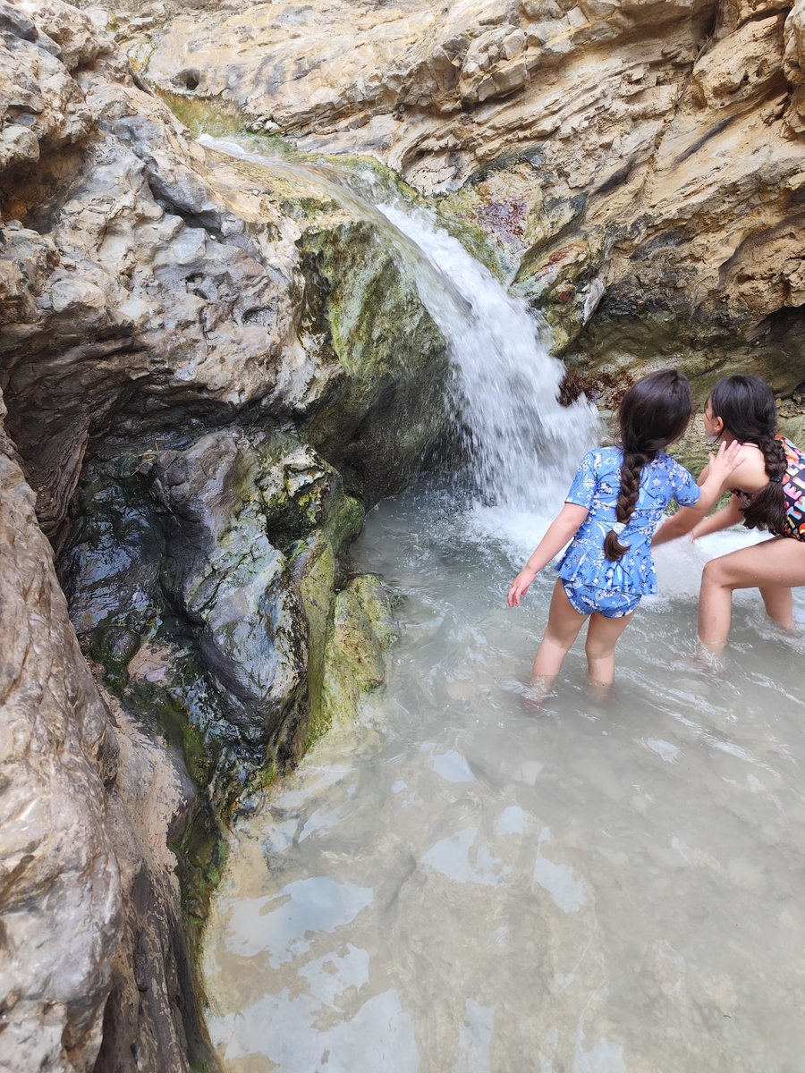 UnplugIsrael's tweet image. 📍 EXPLORE.
Have you ever heard of the Nahal Bokek oasis by the Dead Sea? It’s right across from the Ein Bokek resort. Entrance is free—for now! From the start, you’ll walk through cool water in the shade, making it a great escape even on super hot days. The water starts off…