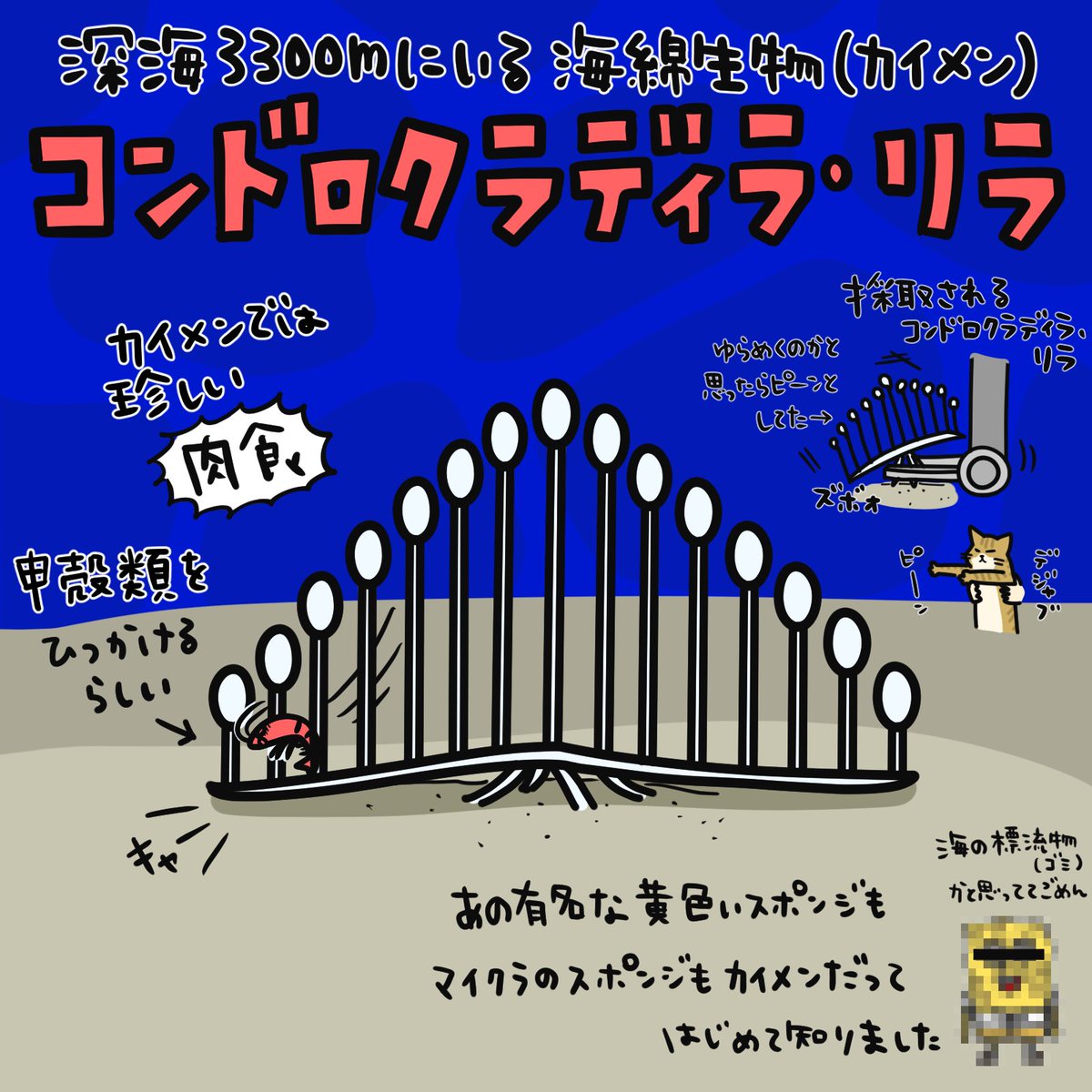 なのなのな (@nanonanona_s) / X
