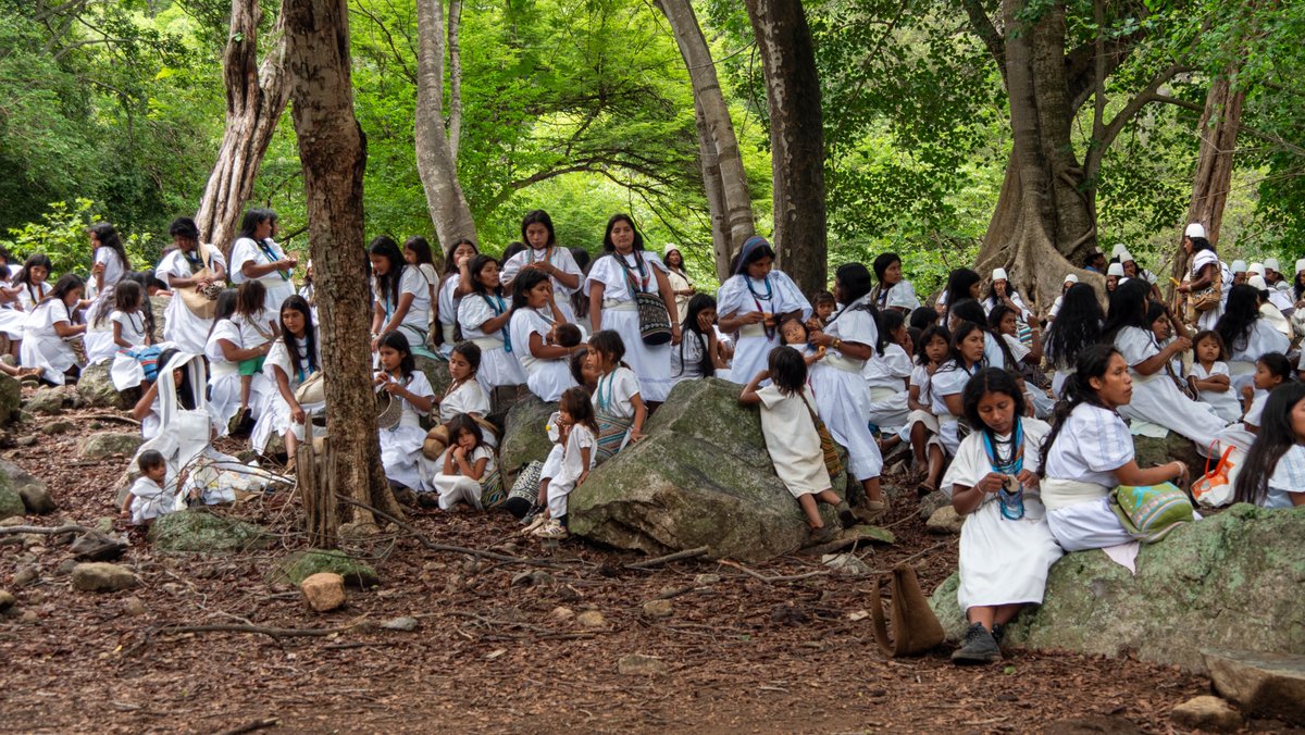 UNCCD's tweet image. 🫀 Indigenous guardians of Colombia’s Sierra Nevada are dedicating 70 % of their territory to natural regeneration: replanting native forests, protecting springs to keep the “Heart of the World” alive.
Full story ➡️ unccd.int/news-stories/s…
#UNited4Land 📸 José Ríos/UNIC Bogota